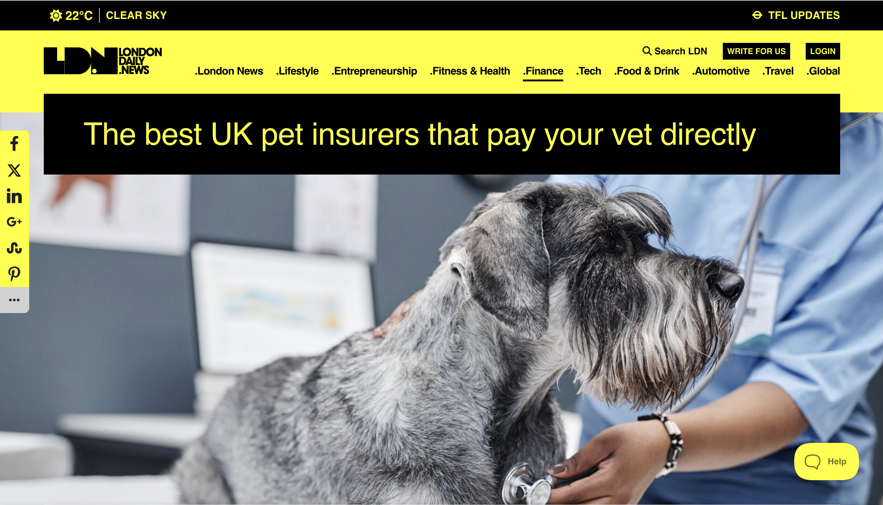 London Daily News article, The best UK pet insurers that pay your vet directly